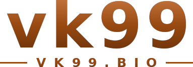vk99 logo